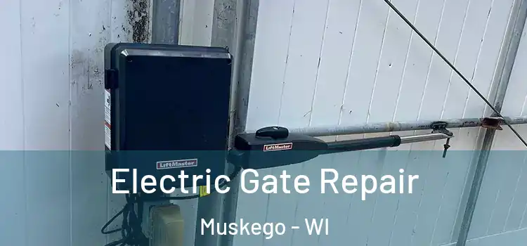 Electric Gate Repair Muskego - WI
