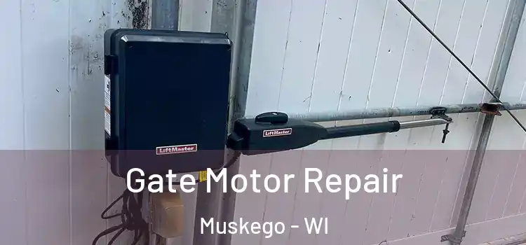 Gate Motor Repair Muskego - WI